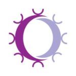 repertoire immune medicines